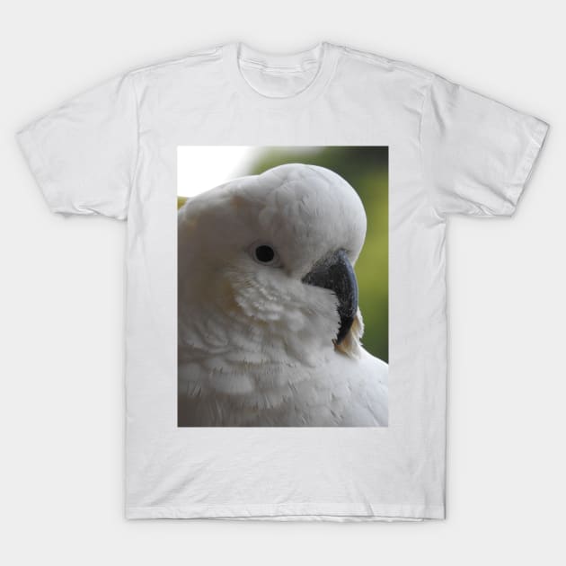 Sulphur Crested Cockatoo T-Shirt by kirstybush